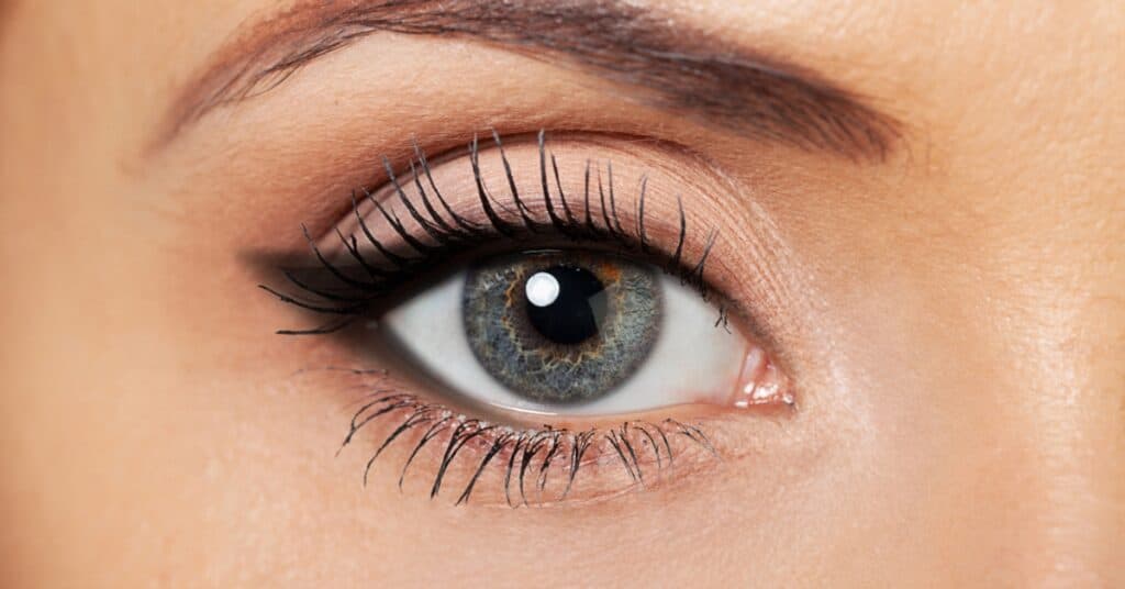 Learn all the secrets of mastering the application of Smokey Eyeliner on round shaped eyes.