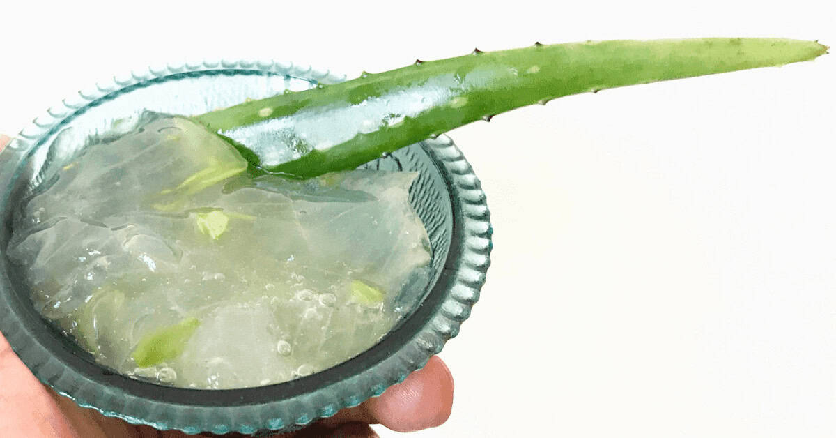 Aloe Vera Gel can be used as an alternative of Eyebrow Gel Aloe Vera Gel Can Be used as an alternative of eyebrow gel