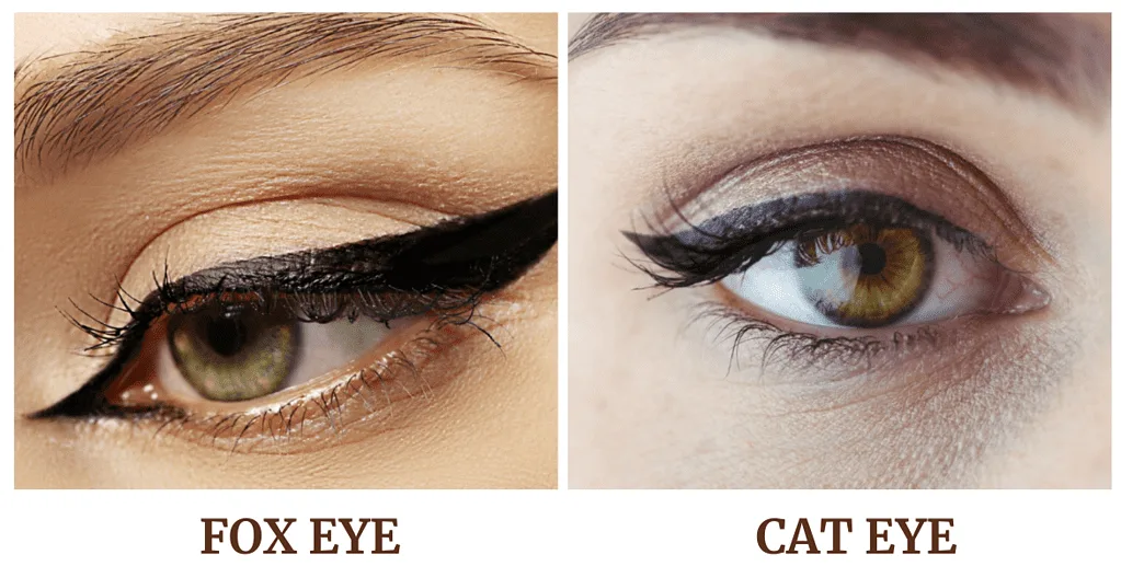 How Is Fox Eye Different From Cat Eye How Is Fox Eye Different From Cat Eye